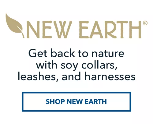 New Earth