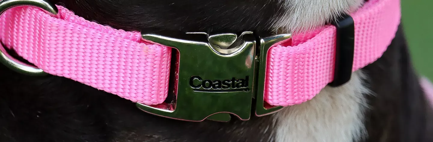  Coastal Pet Sublime Adjustable Dog Collar - Adjustable Plastic  Buckle - Vibrant & Colorful Dog Collar with Fade-Resistant Patterns - Pink  Tie Dye with Pink Arrows, Medium - 1 x