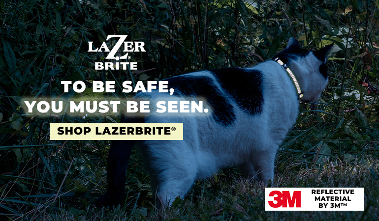 Black-and-white cat wearing a reflective collar walks through dense grass and foliage outdoors. Overlay text reads: “Lazer Brite. To be safe, you must be seen.” A button says “Shop LazerBrite®,” and a badge indicates “3M Reflective Material.”