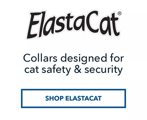 ElastaCat