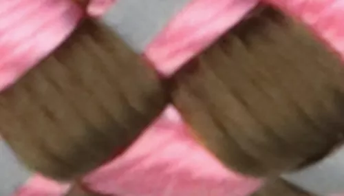 K9 Explorer® Reflective Braided Rope Slip Dog Leash Product image