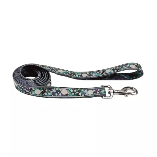 LazerBrite® Patterned Leash Product image