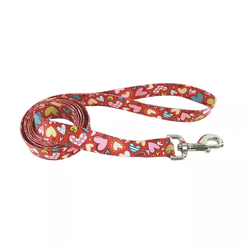 Pets in the Classroom Styles Dog Leash Product image