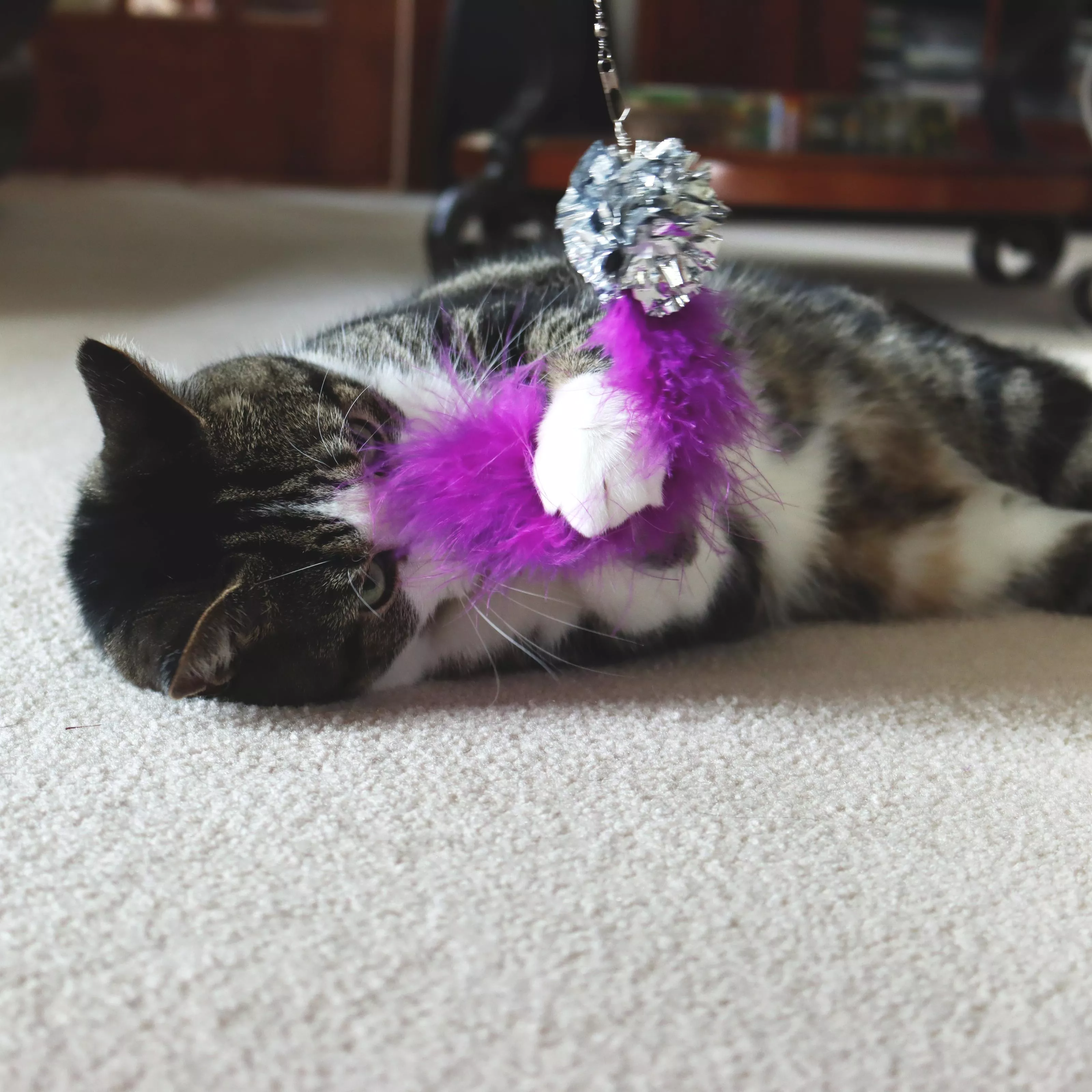 A cat lies on a carpeted floor clutching a telescoping teaser with crinkle tail. The purple fuzzy tail rests against the cat’s front paws, and the silver crinkle ball reflects light. The red telescoping wand is partially visible, extending upward from the frame edge.