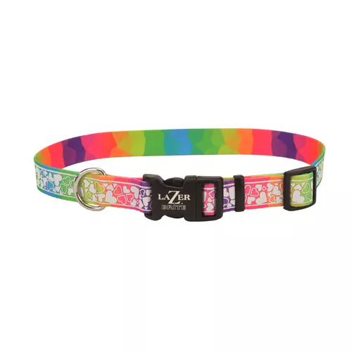 LazerBrite® Patterned Collar Product image