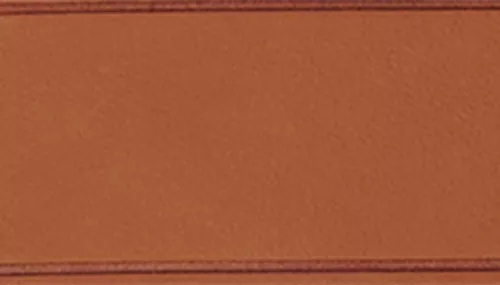 Circle T® Oak Tanned Leather Round Dog Collar Product image