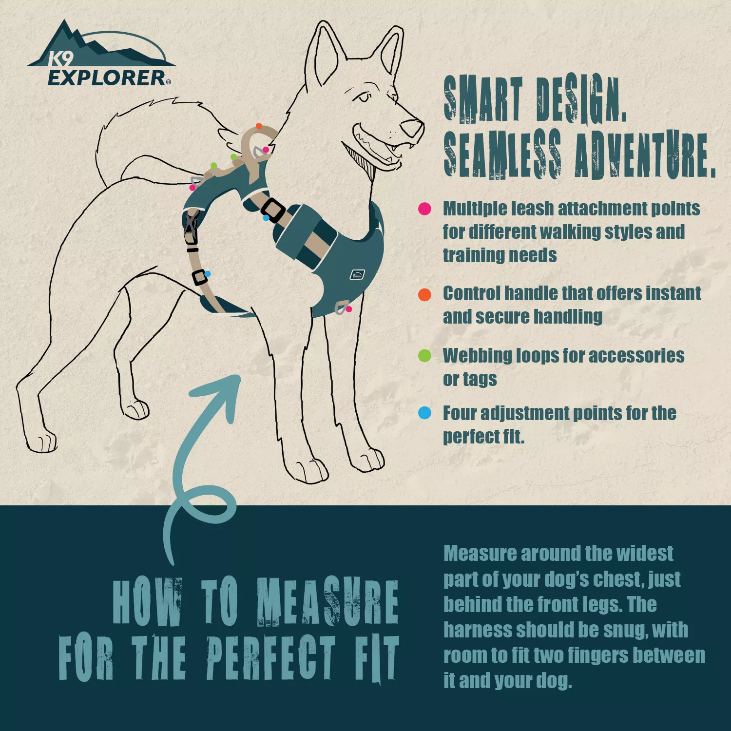 A tall informational graphic panel showing a dog wearing a harness in side view. Arrows and dotted lines indicate strap positioning. Printed headings and bullet points describe features and fit guidance.