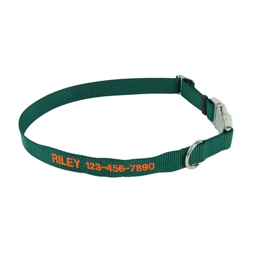Coastal® Adjustable Dog Collar with Metal Buckle - Personalized Product image