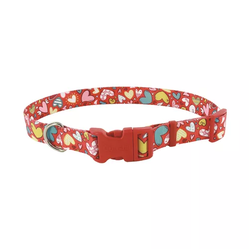 Pets in the Classroom Styles Adjustable Dog Collar Product image