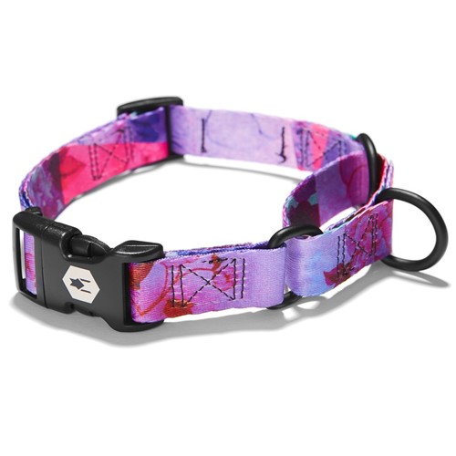 Wolfgang DayDream Martingale Dog Collar Product image