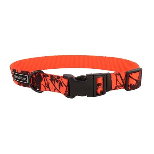 Water & Woods® Blaze Adjustable Patterned Dog Collar Product image