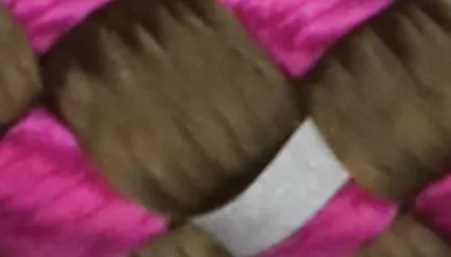 K9 Explorer® Reflective Braided Rope Slip Dog Leash Product image