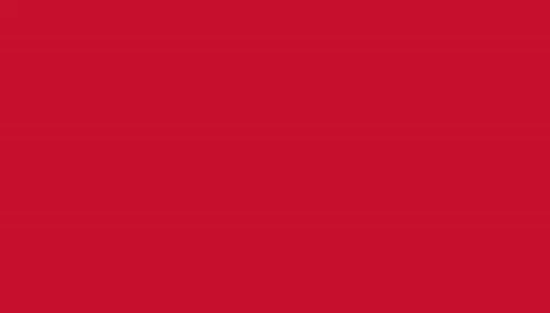 Coastal® Adjustable Dog Collar with Metal Buckle Product image